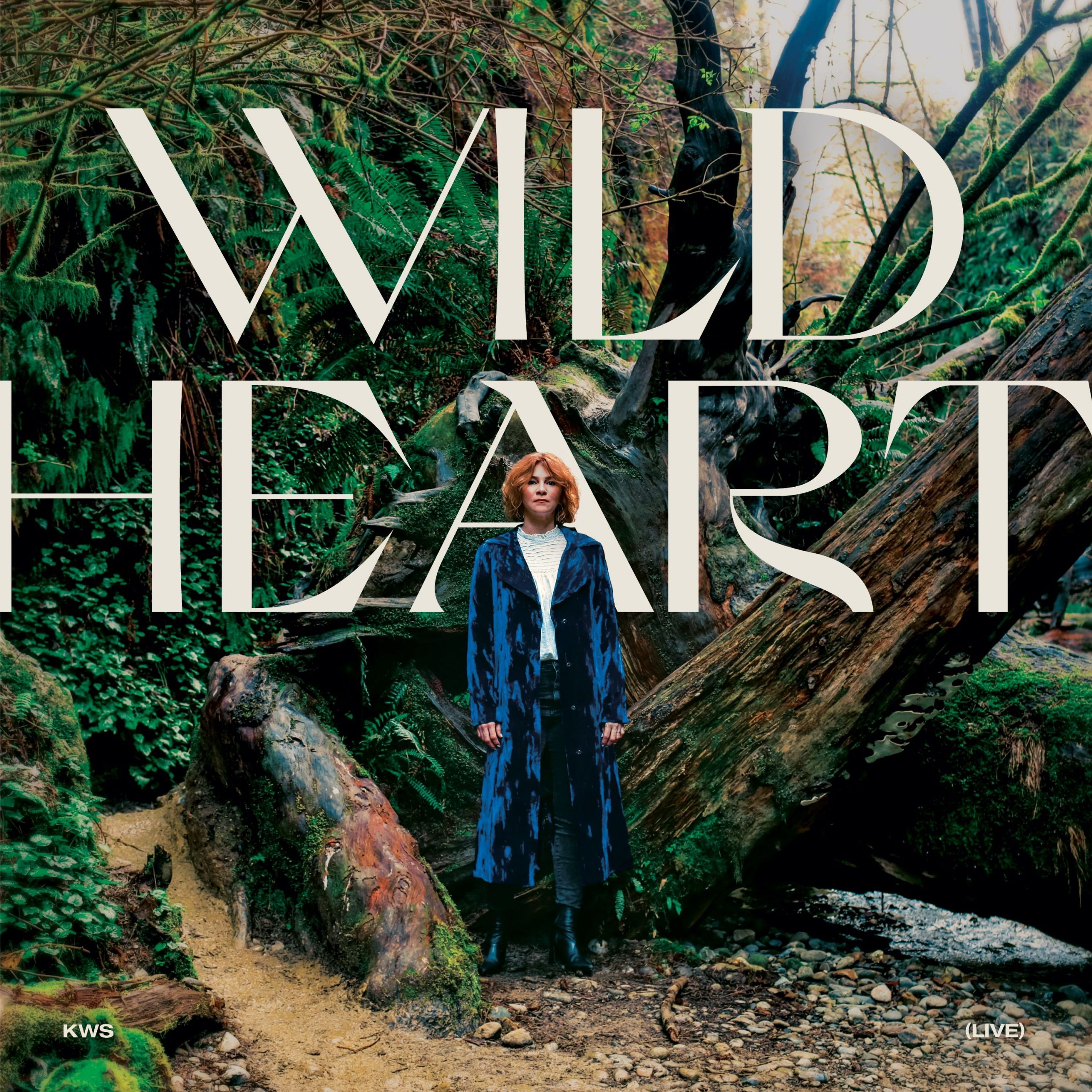 Kim Walker-Smith – Wild Heart
